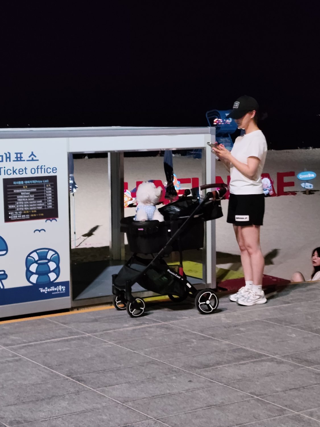 Busan bei Nacht – ein Hunde-Korso und zappelnde Aale