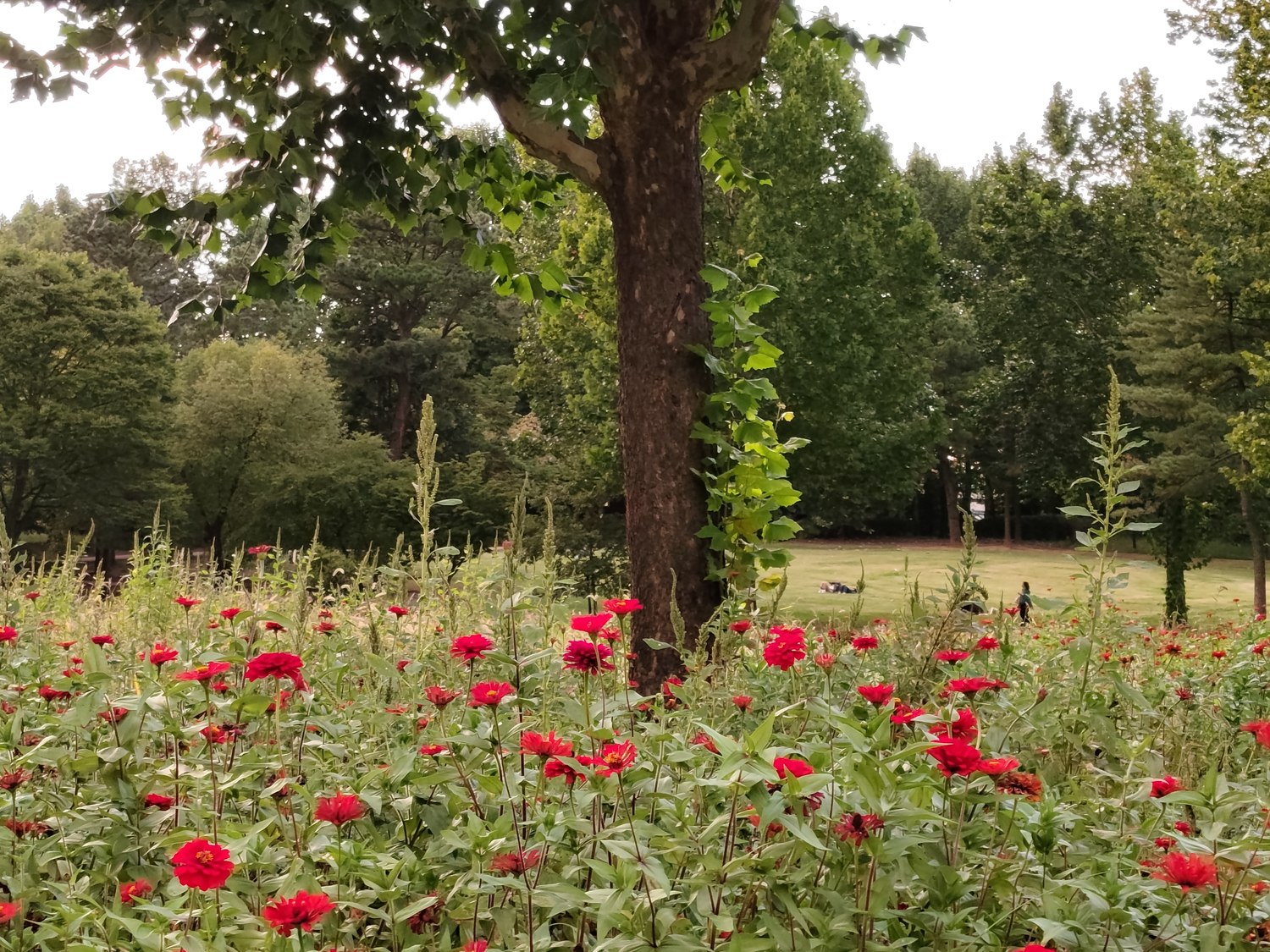 Wasser-Ballett im Children's Park