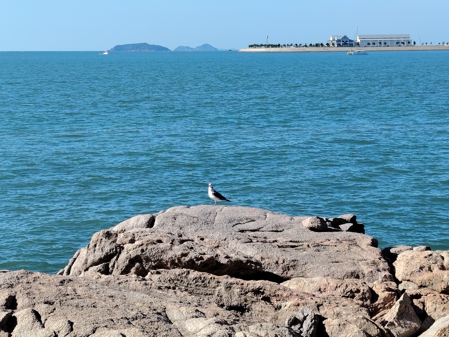 Dem Meer entgegen – zu den Inseln vor Incheon
