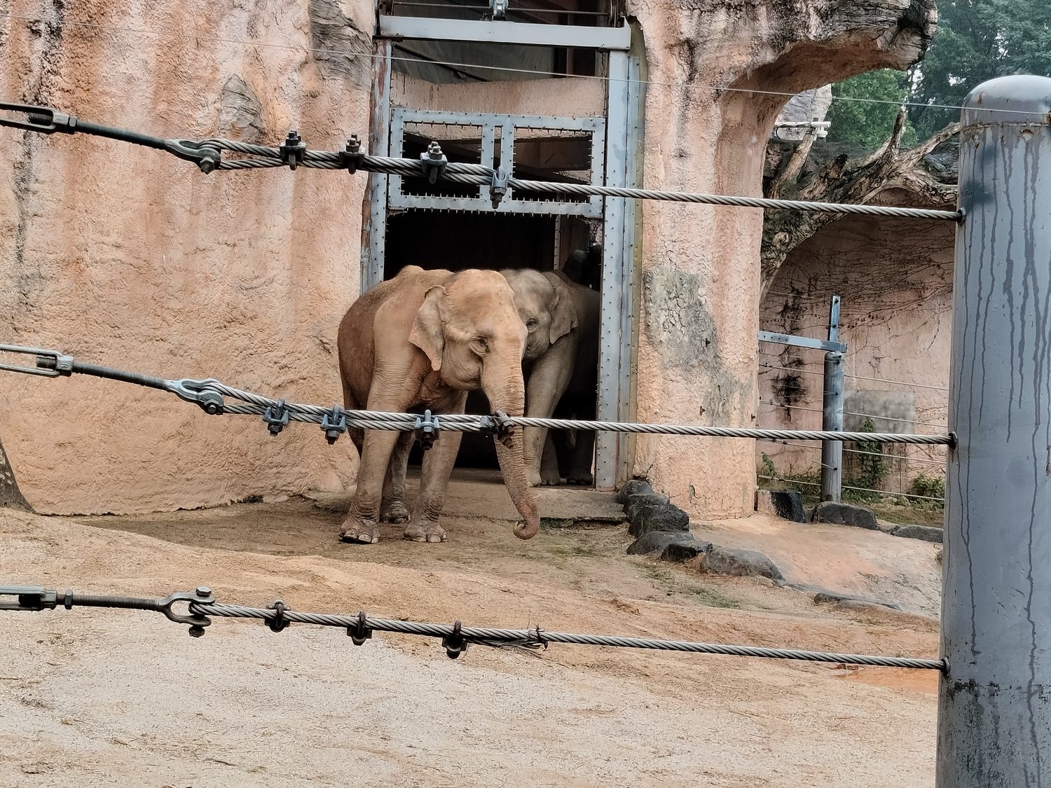 Ein Regentag im Tierpark – und ein Gruß aus Bremen