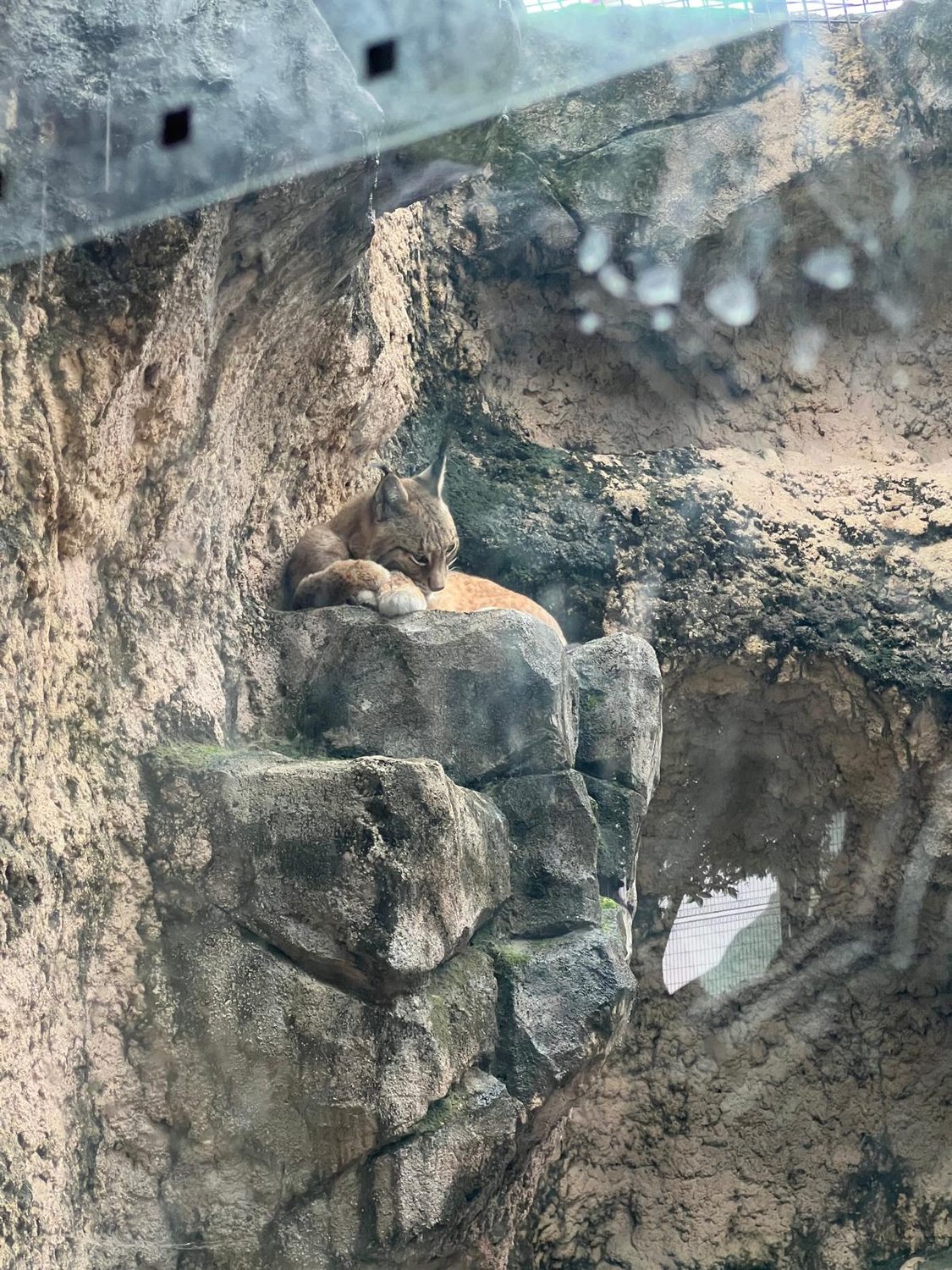 Ein Regentag im Tierpark – und ein Gruß aus Bremen