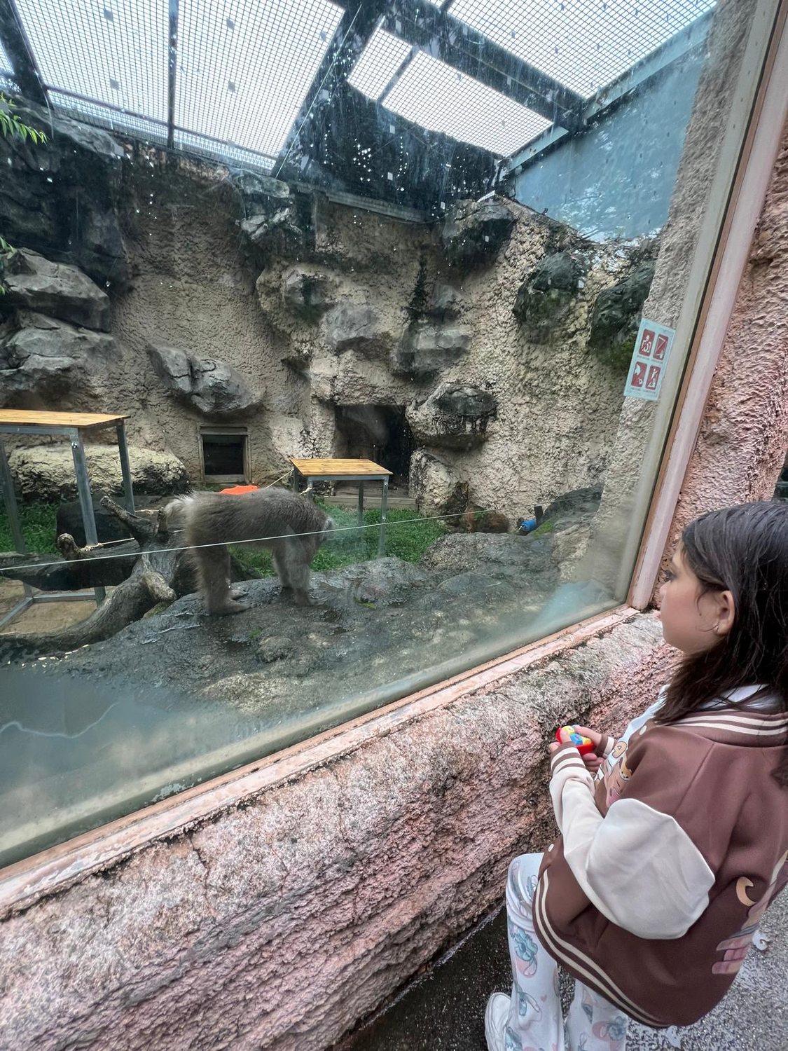 Ein Regentag im Tierpark – und ein Gruß aus Bremen