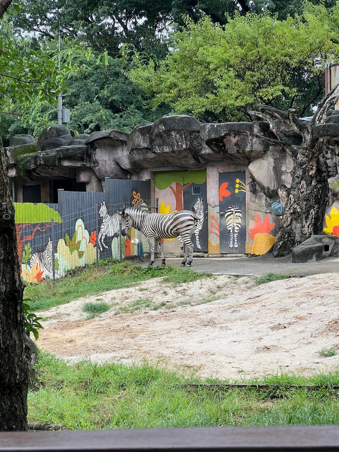 Ein Regentag im Tierpark – und ein Gruß aus Bremen