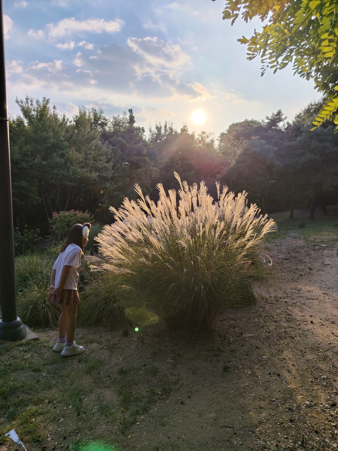 Seoul Forest & Sonnenuntergang am Hangang