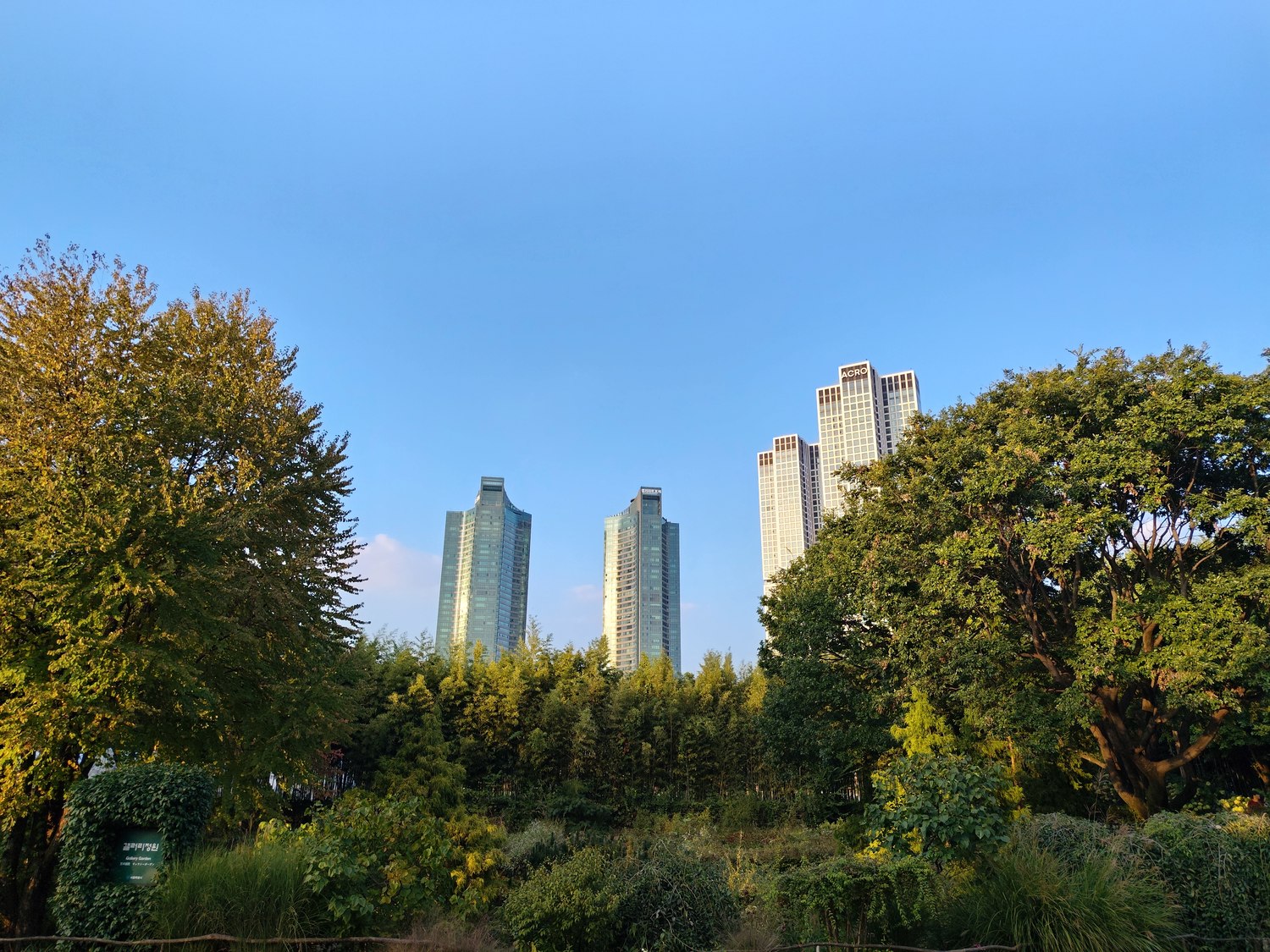 Seoul Forest & Sonnenuntergang am Hangang