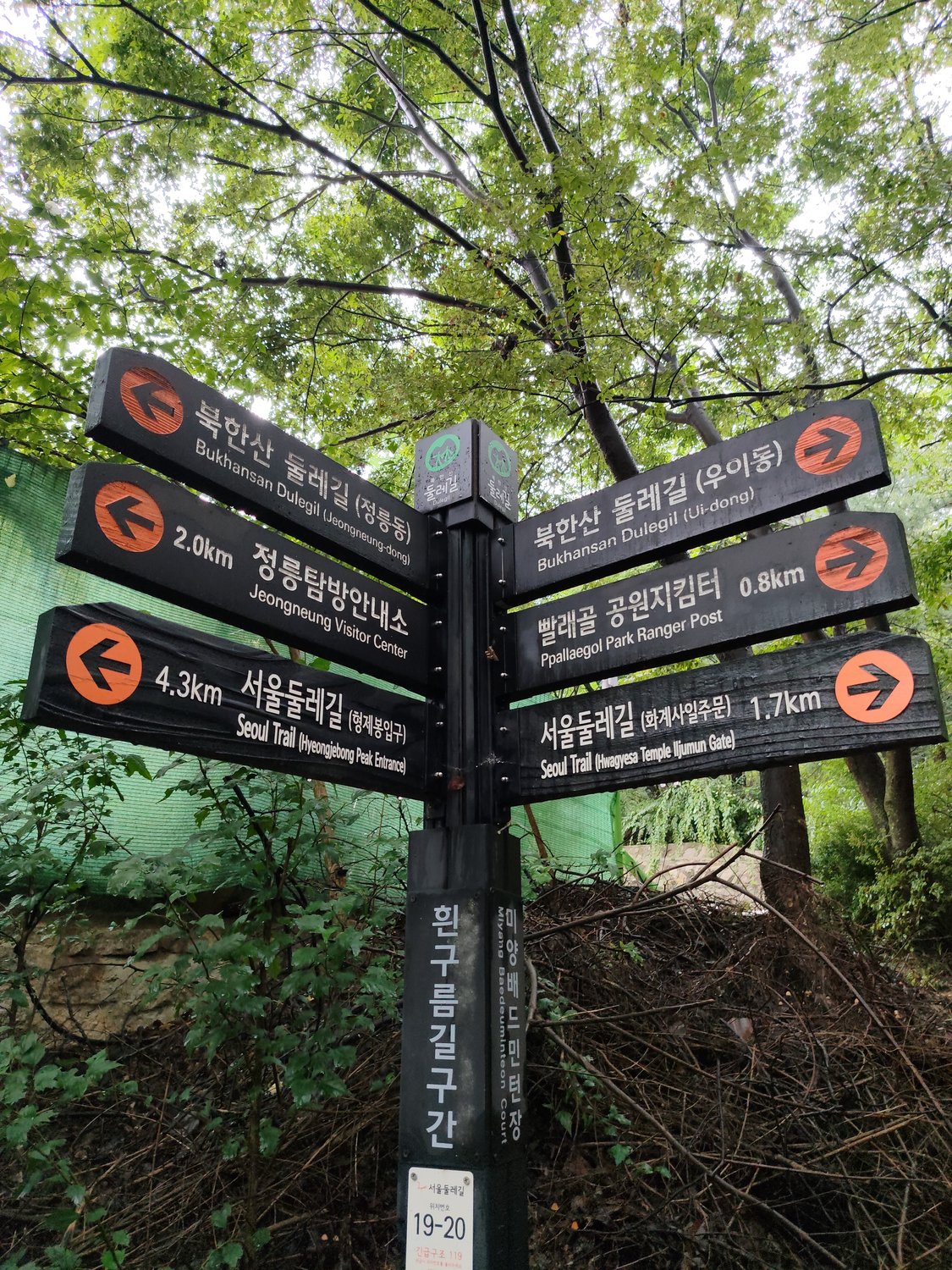 Regen auf dem Seoul Trail – eine Gottesanbeterin und Koreas Blume